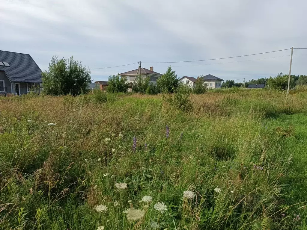 Участок в Калининградская область, Зеленоградский муниципальный округ, ... - Фото 1