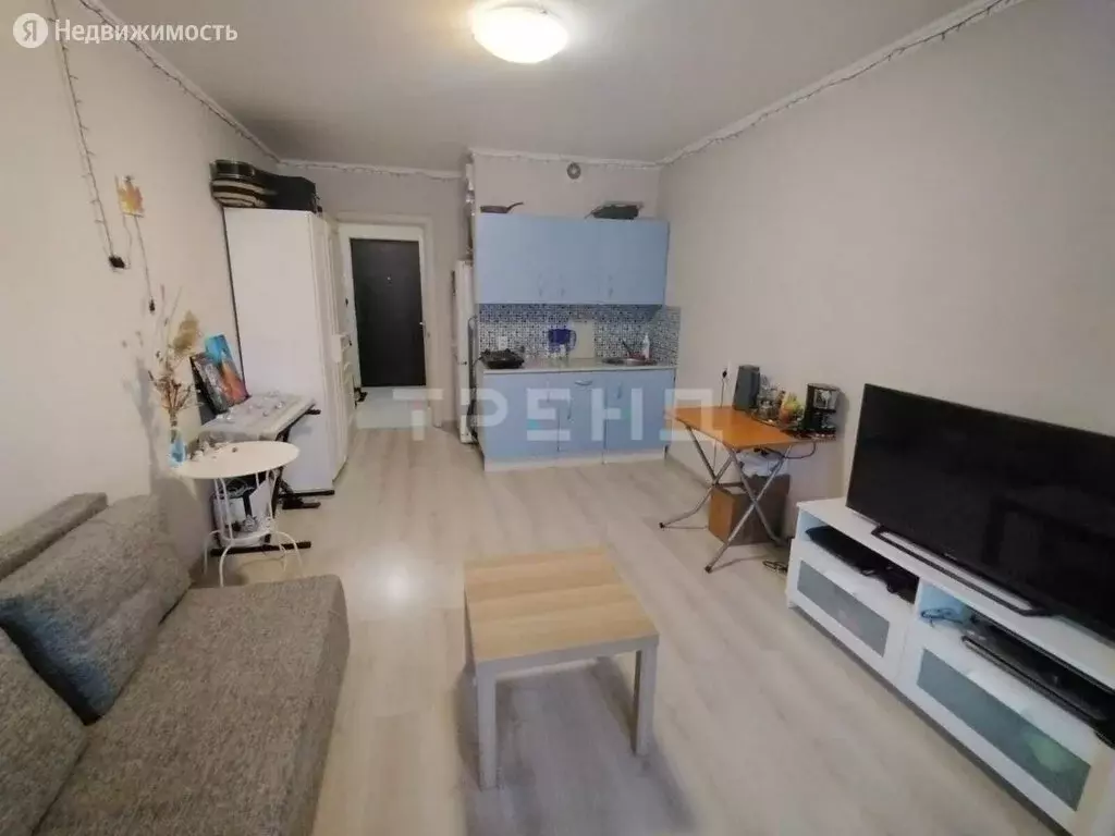 Квартира-студия: Мурино, Охтинская аллея, 10к1 (24.9 м) - Фото 1