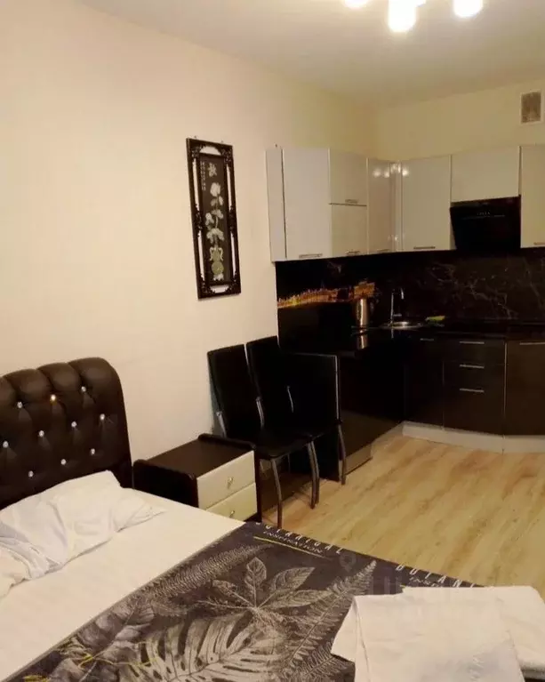 Студия Санкт-Петербург Пулковское ш., 14Е (28.0 м) - Фото 2