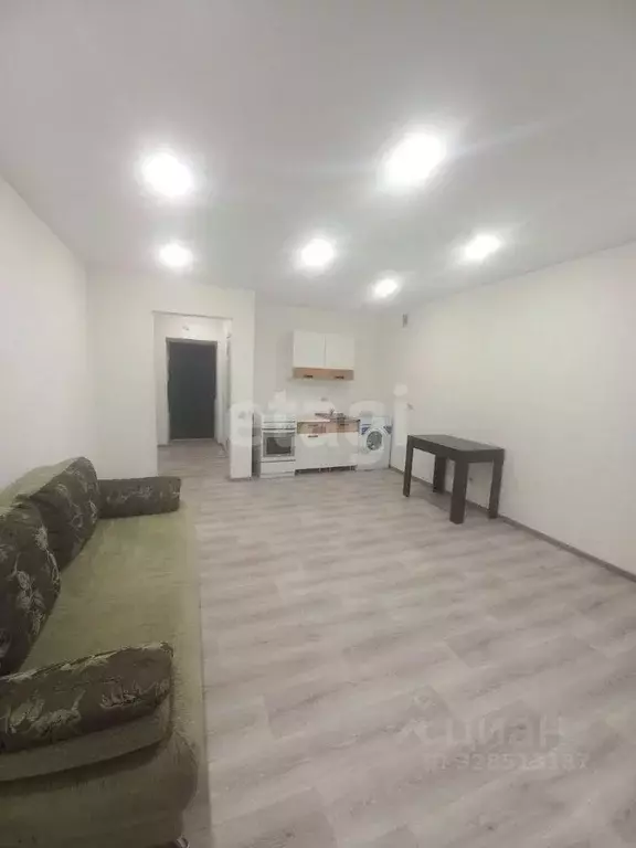 Студия Амурская область, Благовещенский район, с. Чигири ул. Красивая, ... - Фото 1