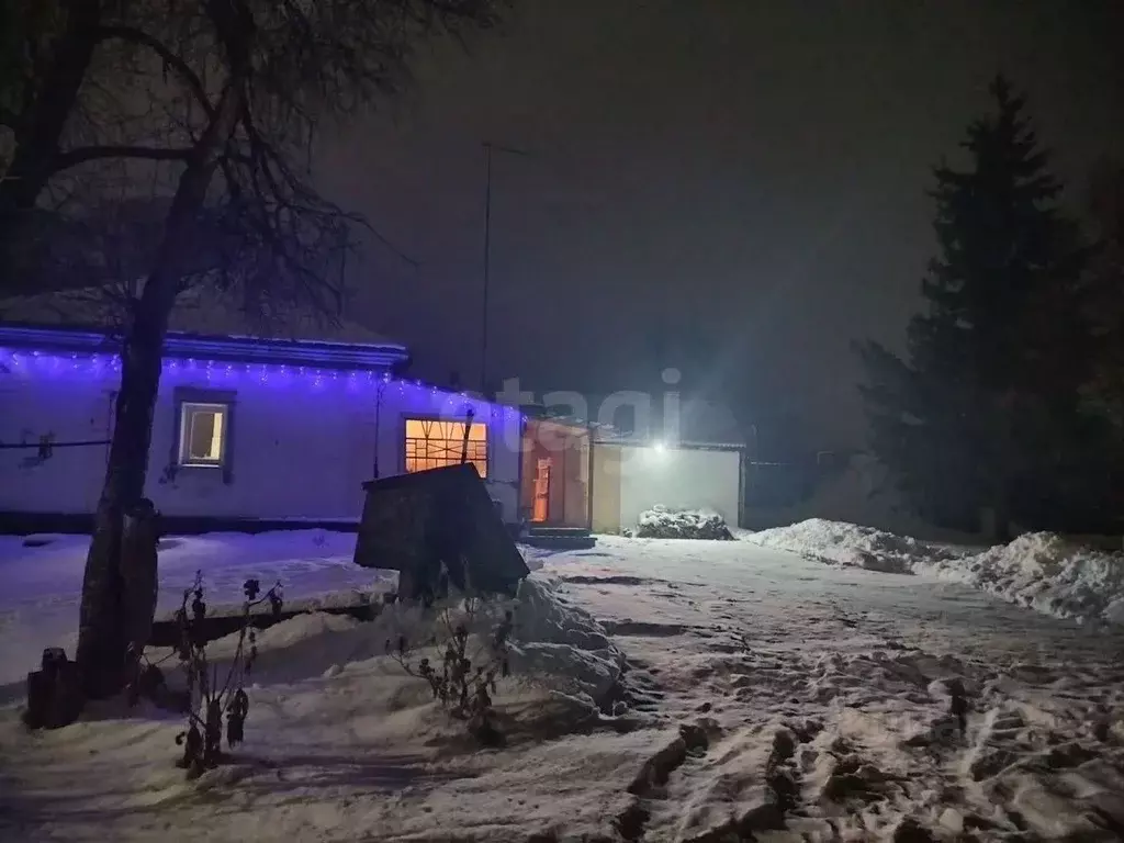 Дом в Новосибирская область, Искитимский район, Евсинский сельсовет, ... - Фото 2