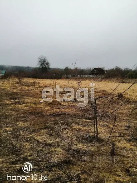 Участок в Калужская область, Дзержинский муниципальный округ, Рудня ... - Фото 1