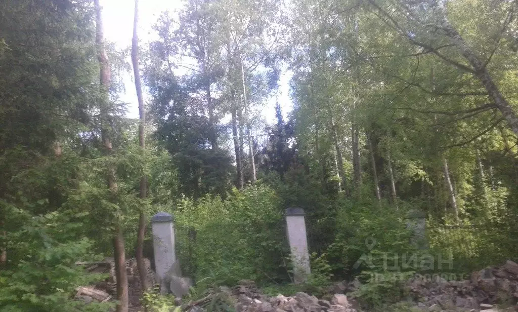Участок в Московская область, Одинцовский городской округ, пос. ... - Фото 1