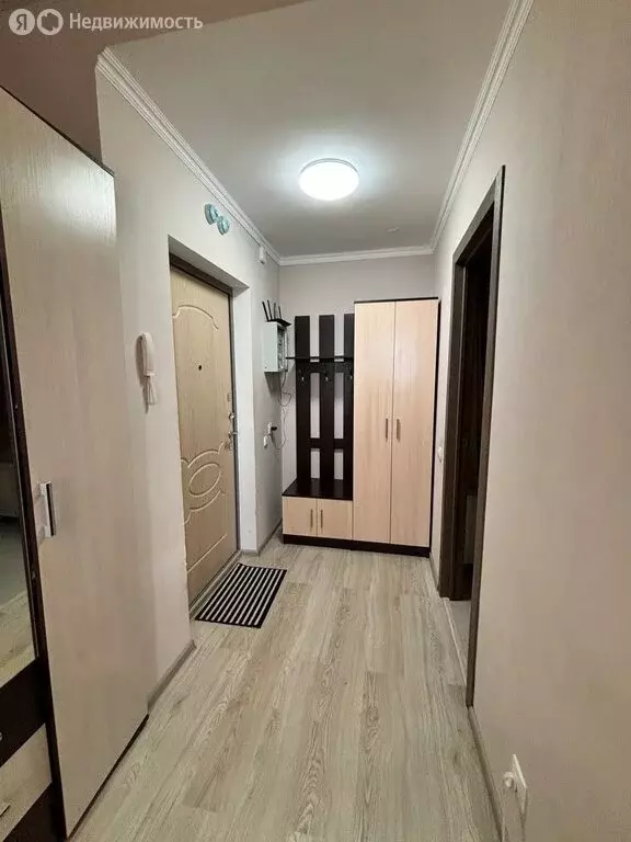 Квартира-студия: Санкт-Петербург, Парашютная улица, 36к1 (25.9 м) - Фото 1