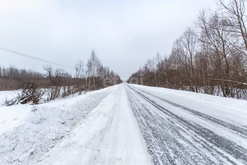 Участок в Башковское сельское поселение, садоводческое товарищество ... - Фото 0