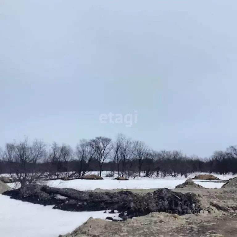 Участок в Сахалинская область, Анивский городской округ, с. ... - Фото 0