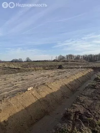 Участок в Калининградская область, посёлок городского типа Янтарный ... - Фото 2