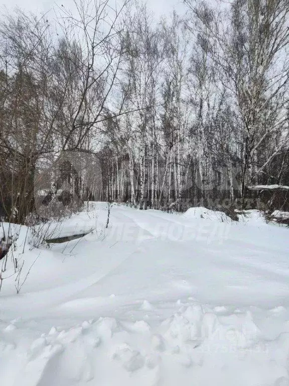 Участок в Тюменская область, Нижнетавдинский район, Строитель ТСН  ... - Фото 1