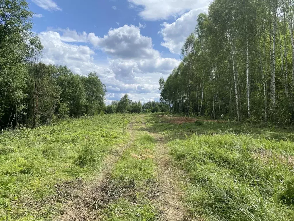 Участок в Московская область, Пушкинский городской округ, с. Царево  ... - Фото 1