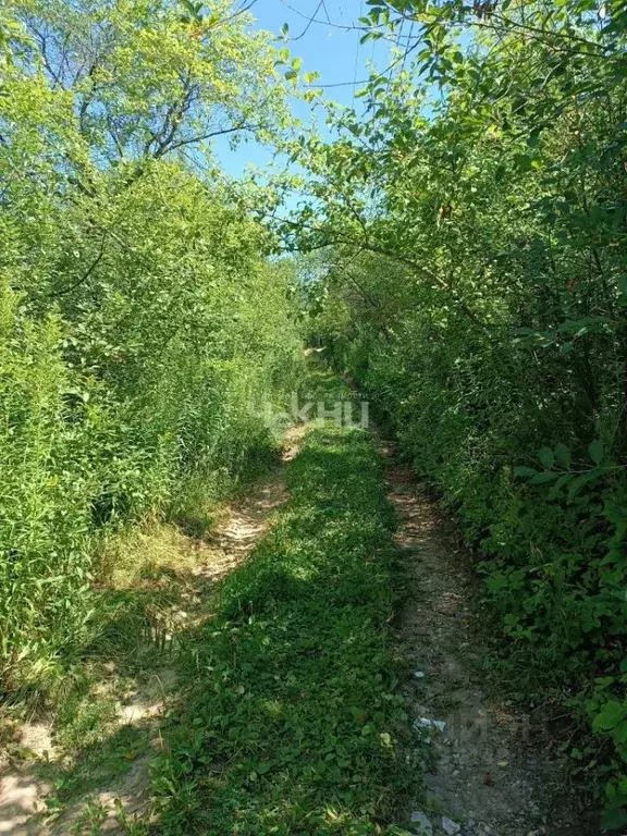 Участок в Нижегородская область, Нижний Новгород Маяк садовое ... - Фото 2