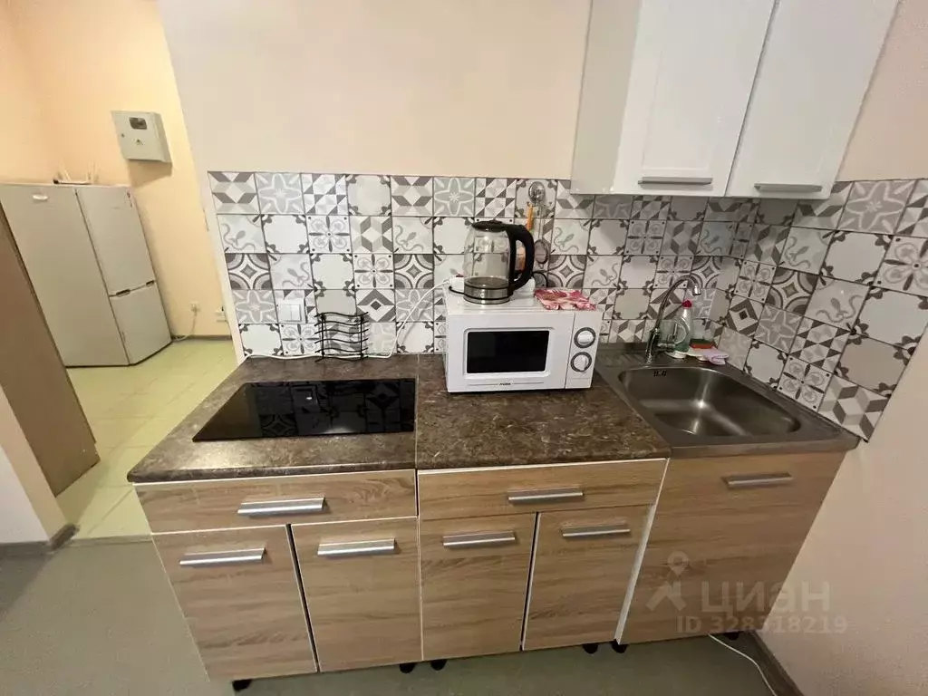 Студия Ленинградская область, Кингисепп ул. Жукова, 18Ак2 (30.0 м) - Фото 2