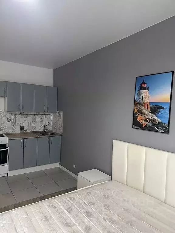 Студия Московская область, Котельники ул. Сосновая, 5 (25.0 м) - Фото 2