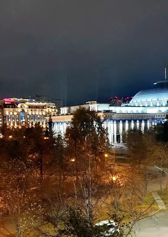 3-к кв. Новосибирская область, Новосибирск Депутатская ул., 38 (76.0 ... - Фото 2