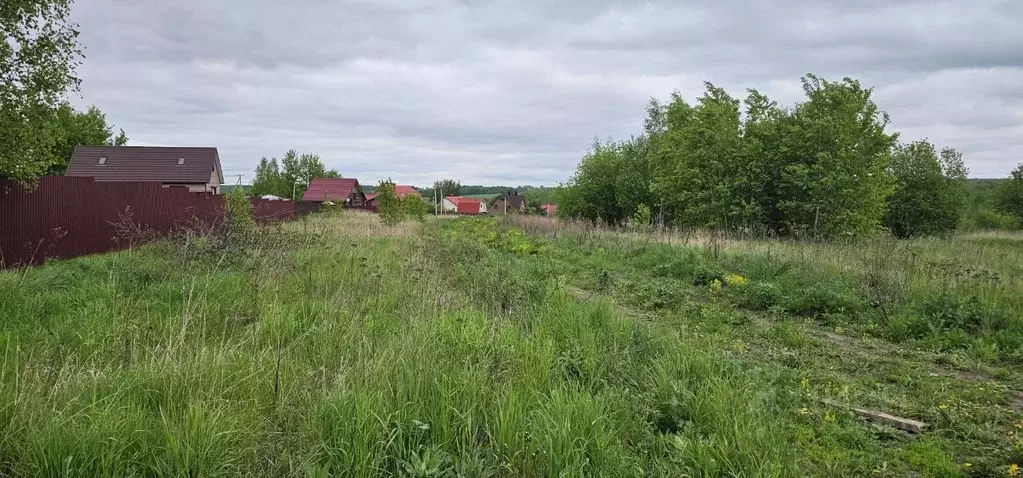 Участок в Московская область, Луховицы муниципальный округ, д. Берхино ... - Фото 0