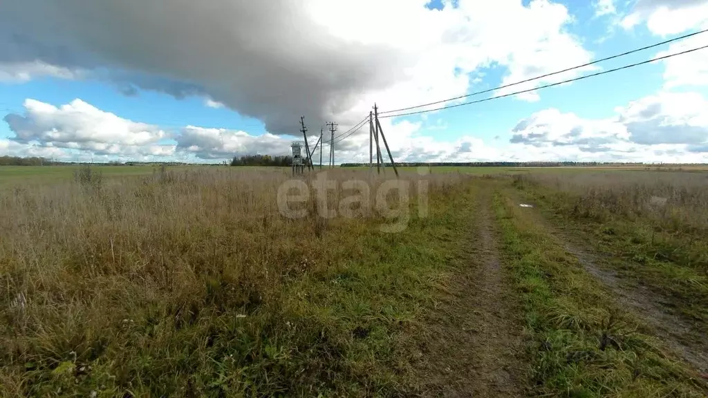 Участок в Ленинградская область, Волосовский район, Бегуницкое с/пос, ... - Фото 1