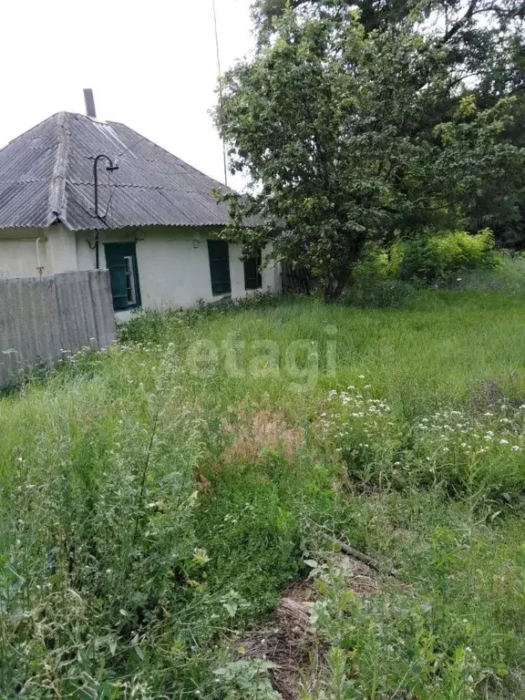 Дом в Белгородская область, Валуйский муниципальный округ, Долгаловка ... - Фото 0