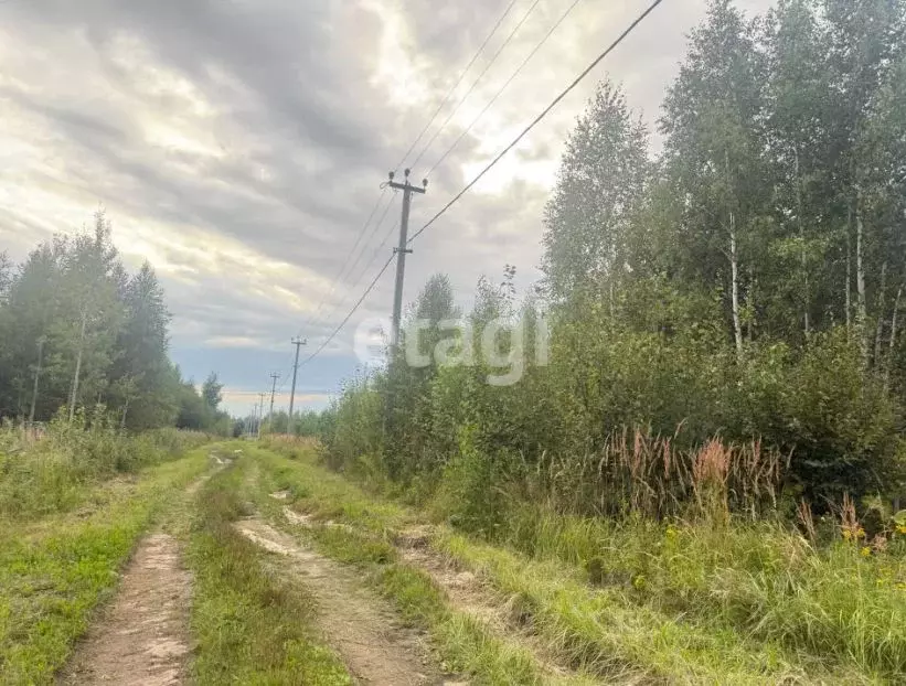 Участок в Марий Эл, Йошкар-Ола городской округ, д. Шоя-Кузнецово ул. ... - Фото 2