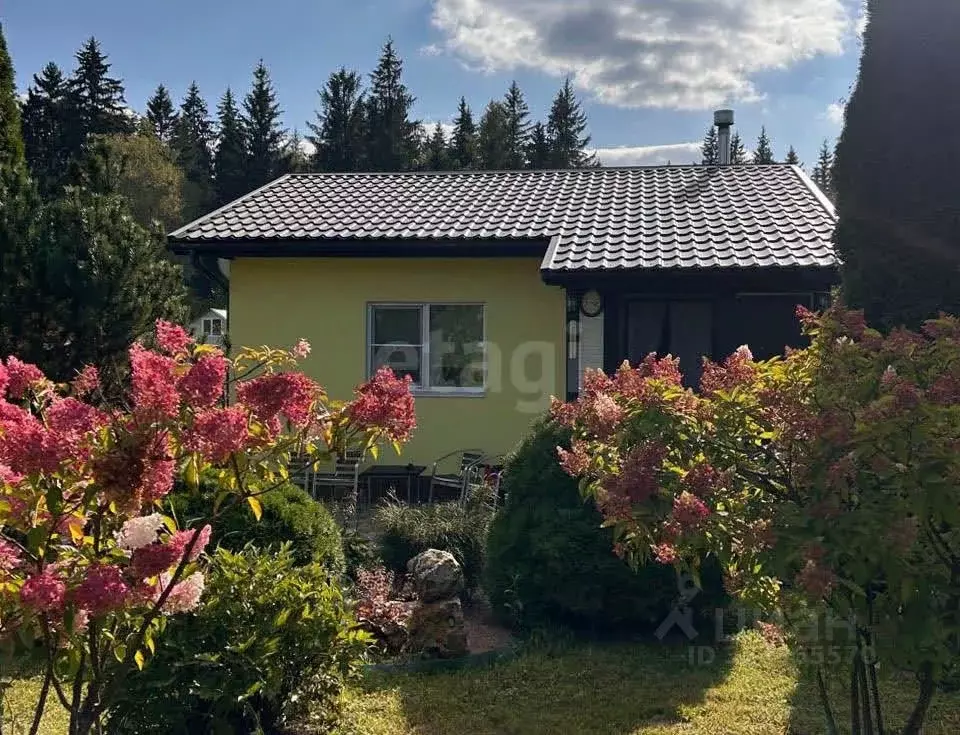 Дом в Московская область, Можайский муниципальный округ, Химик СНТ 92 ... - Фото 1