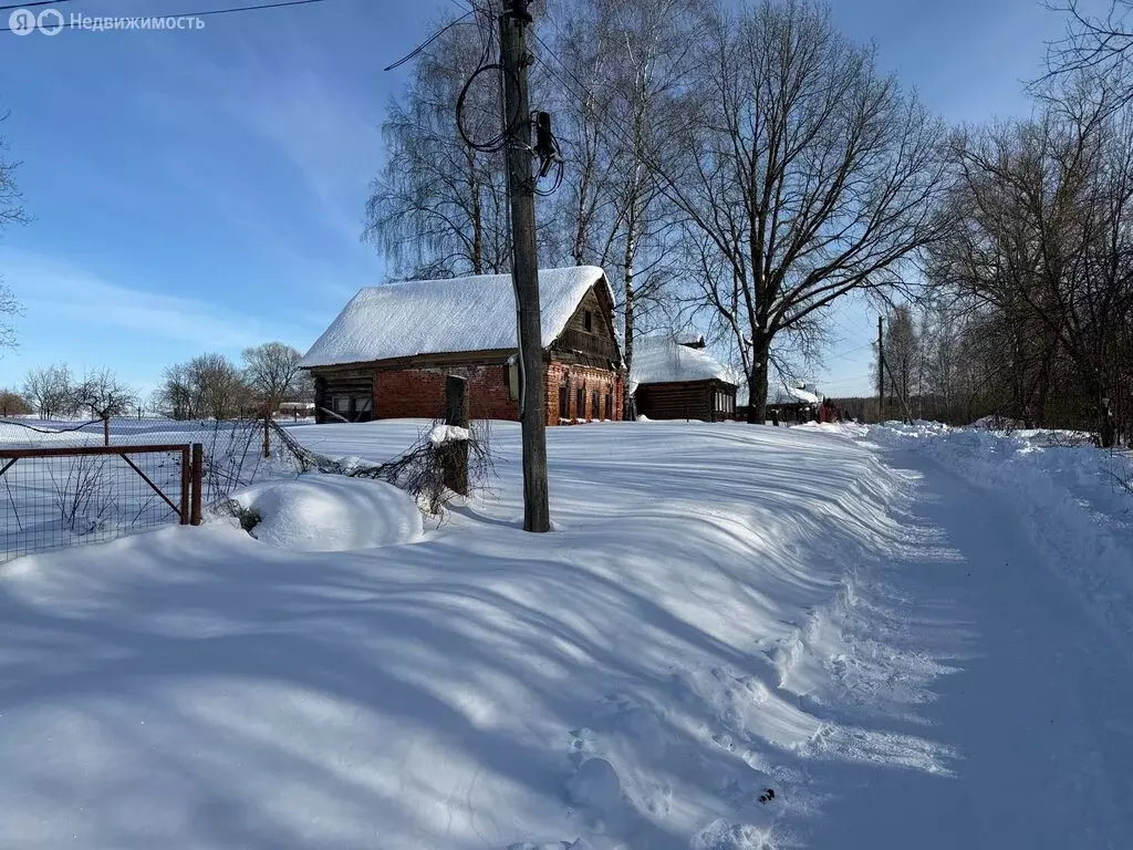 Участок в Владимирская область, Александровский муниципальный округ, ... - Фото 2