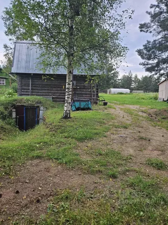 Участок в Новгородская область, Валдайский район, Рощинское с/пос, д. ... - Фото 2