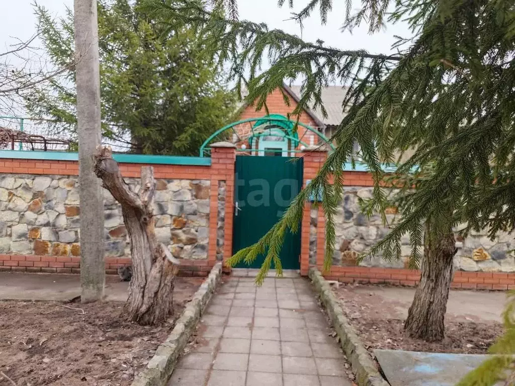 Дом в Воронежская область, Борисоглебск Бланская ул., 65 (107 м) - Фото 1