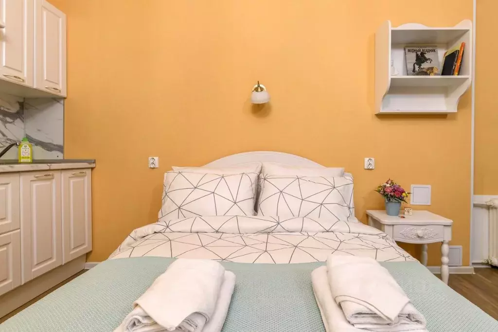 1-к кв. Санкт-Петербург просп. Большой Петроградской стороны, 56 (20.0 ... - Фото 1