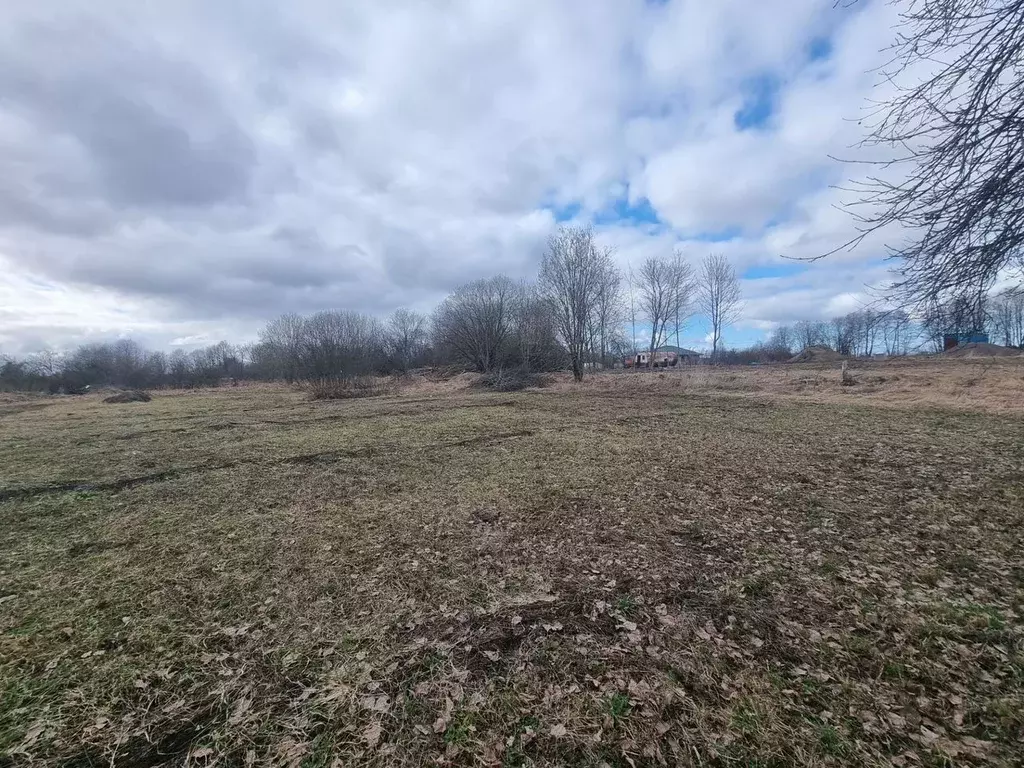 Участок в Ленинградская область, Кировский район, Назиевское городское ... - Фото 1