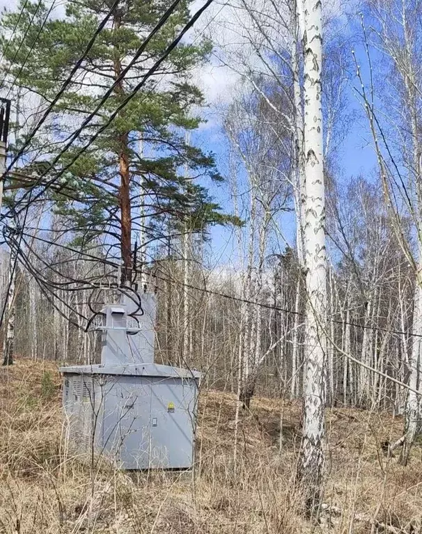 Участок в Иркутская область, Иркутский муниципальный округ, пос. Падь ... - Фото 1