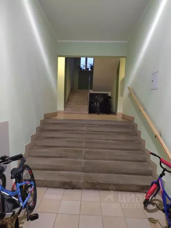 1-к кв. Московская область, Истра муниципальный округ, д. Черная ул. ... - Фото 1