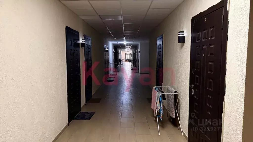 Помещение свободного назначения в Краснодарский край, Геленджик ... - Фото 0