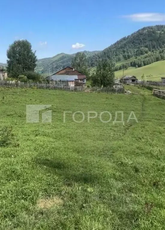 Участок в Алтай, Майминский район, с. Урлу-Аспак Заречная ул. (28.0 ... - Фото 1