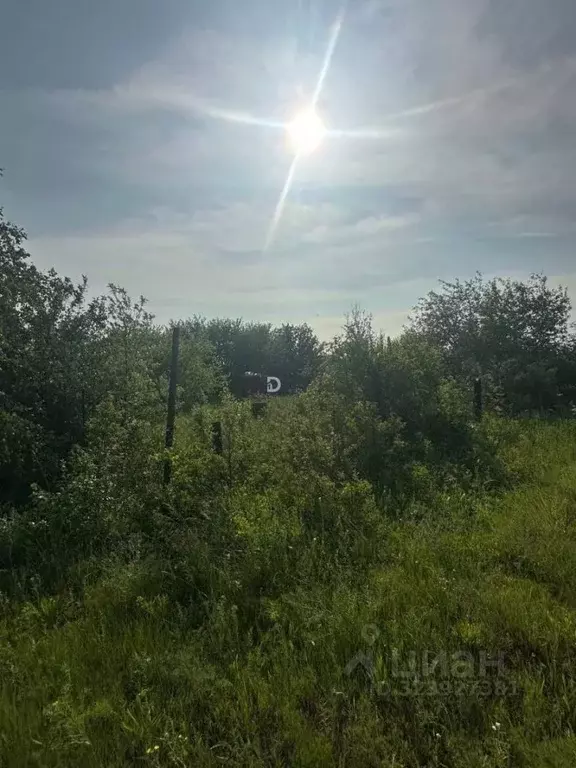 Участок в Саратовская область, Саратов Кумысная поляна СНТ, ул. Малая ... - Фото 2