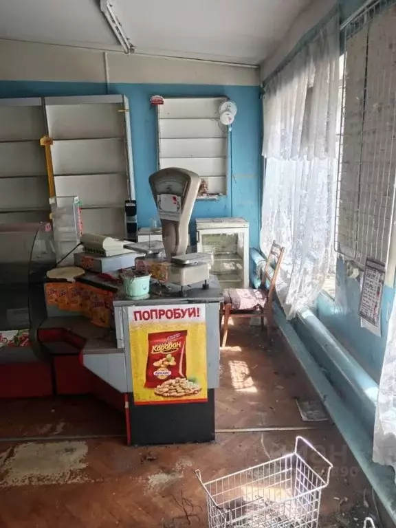 Торговая площадь в Брянская область, Новозыбков ул. Рошаля, 42 (50 м) - Фото 2