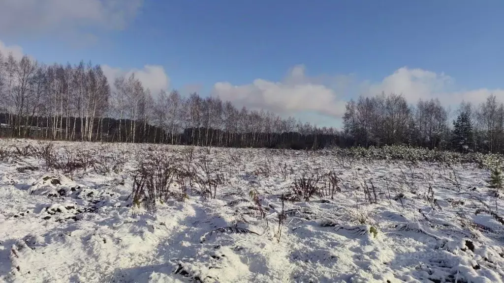 Склад в Московская область, Домодедово Северное Домодедово промзона,  ... - Фото 1