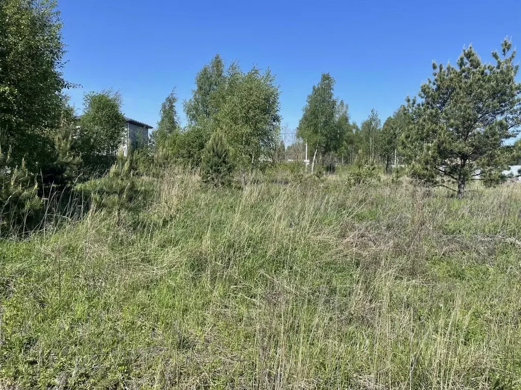 Участок в Московская область, Раменское Дергаево-2 кп, ул. Янтарная ... - Фото 2