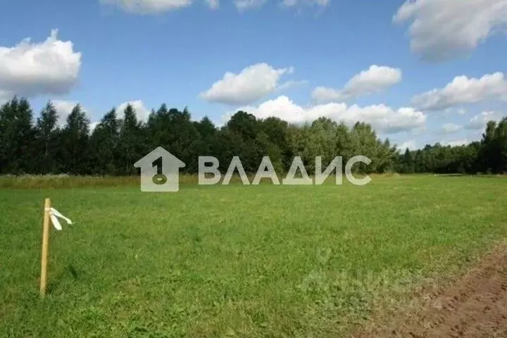 Участок в Ленинградская область, Ломоносовский район, Русско-Высоцкое ... - Фото 1