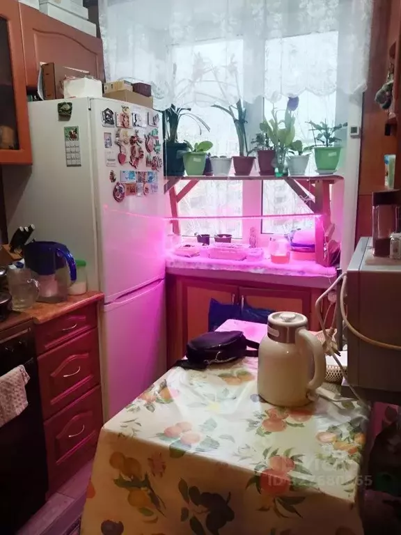 1-к кв. Костромская область, Кострома Калиновская ул., 43а (22.0 м) - Фото 1