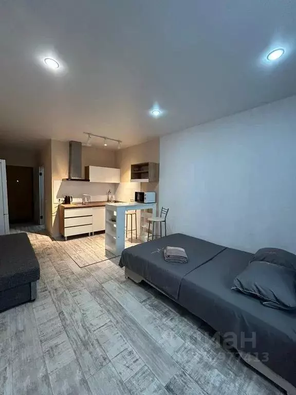 Студия Московская область, Старая Купавна Богородский городской округ, ... - Фото 2