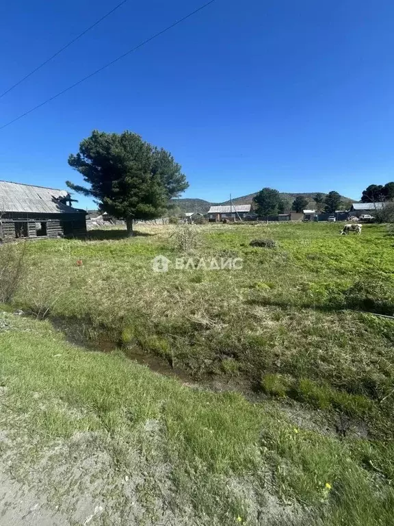 Участок в Бурятия, Кабанский район Р-258 Байкал, 271-й км (12.84 сот.) - Фото 1