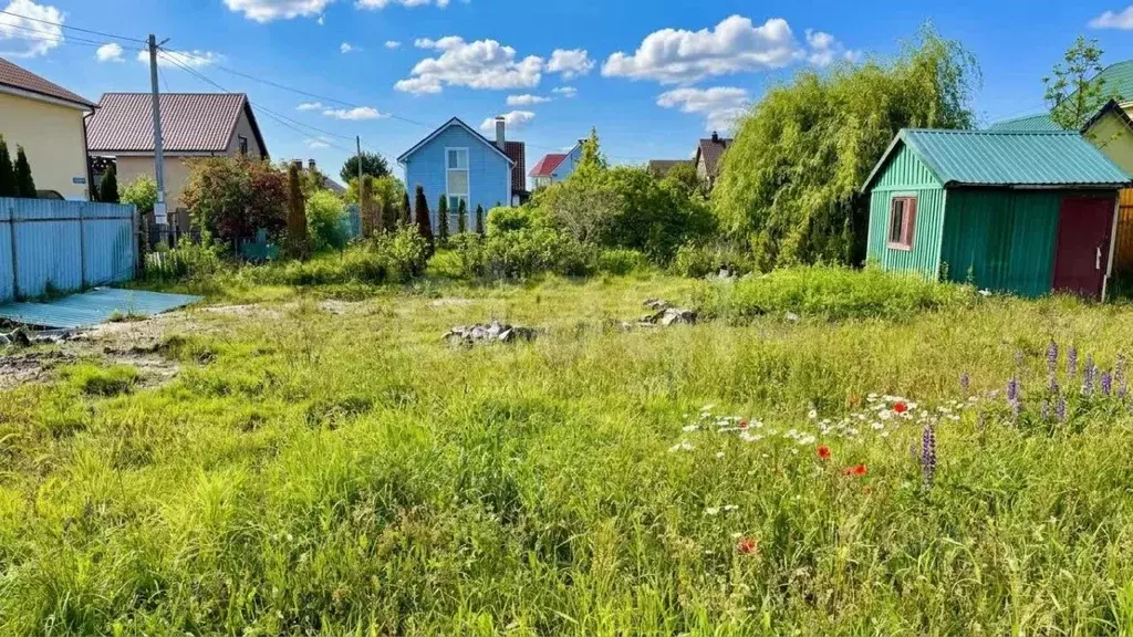 Участок в Калининградская область, Зеленоградск СНТ Волна тер., ул. ... - Фото 2