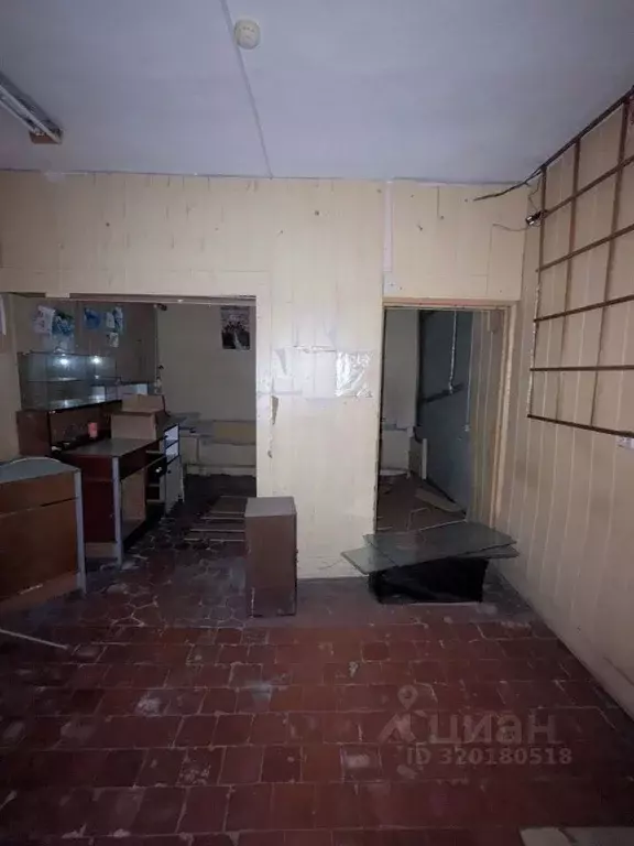 Помещение свободного назначения в Калининградская область, Балтийск ... - Фото 0