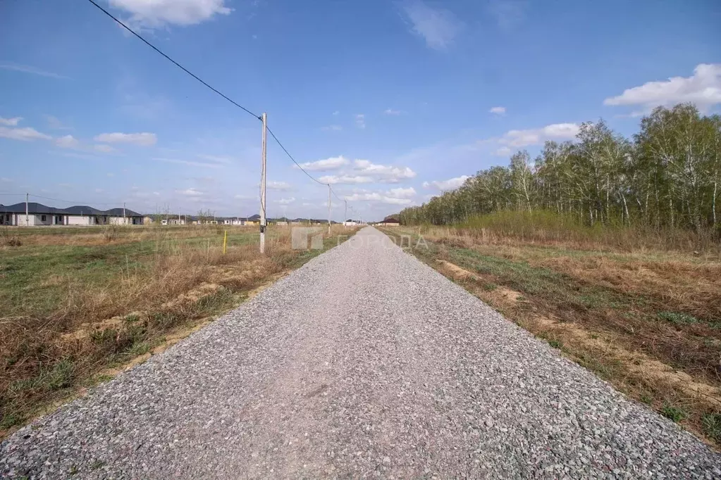 Участок в Алтайский край, Барнаул городской округ, пос. Черницк ул. ... - Фото 0