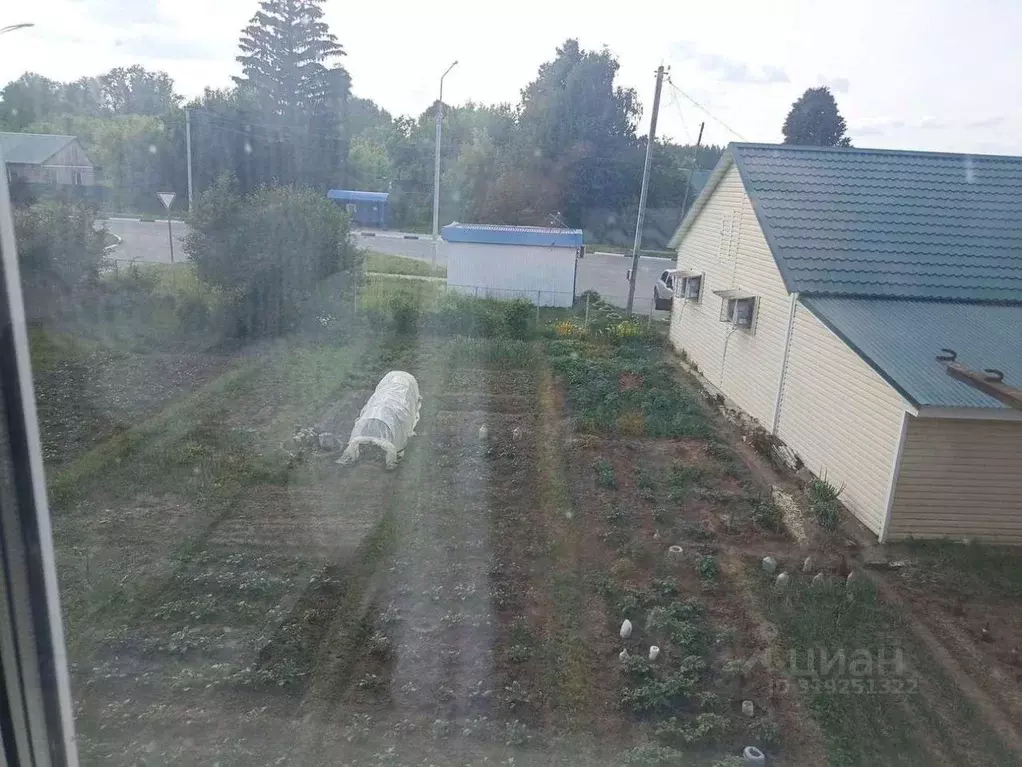 3-к кв. Рязанская область, Шиловский район, Мосоловское с/пос, с. ... - Фото 2