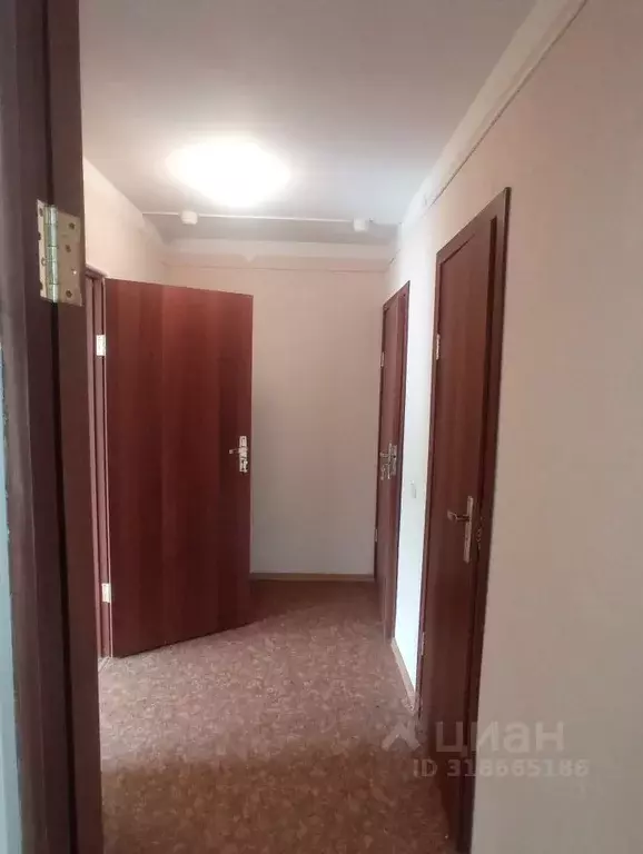Помещение свободного назначения в Санкт-Петербург пос. Молодежное, ул. ... - Фото 1