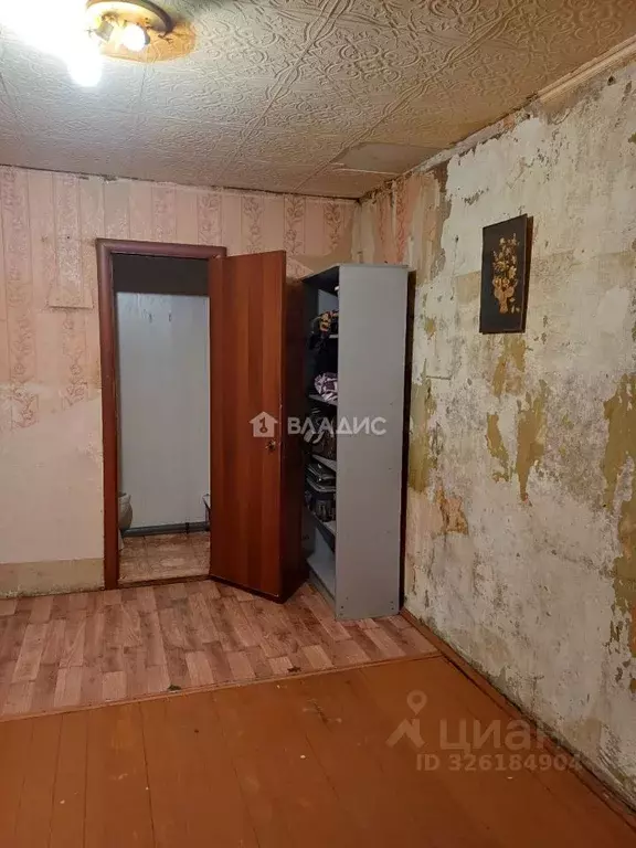 Студия Коми, Сыктывкар ул. Димитрова, 56 (17.2 м) - Фото 2