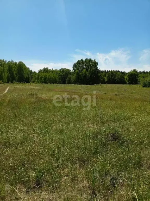 Участок в Липецкая область, Хлевенский район, с. Введенка ул. Лесная, ... - Фото 0