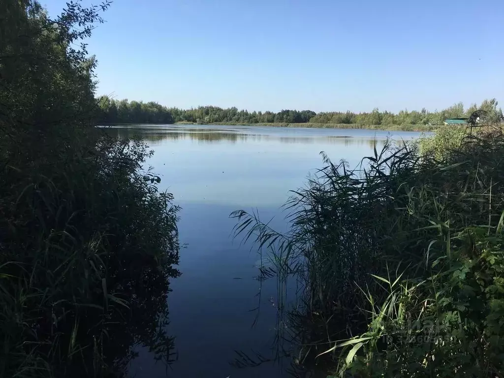 Участок в Московская область, Богородский городской округ, Светлячок ... - Фото 2