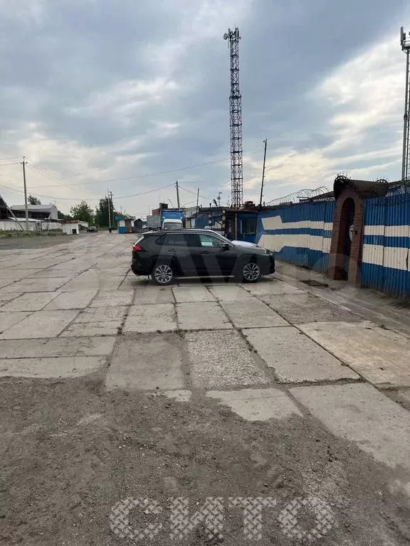 Для успешного бизнеса - Фото 0