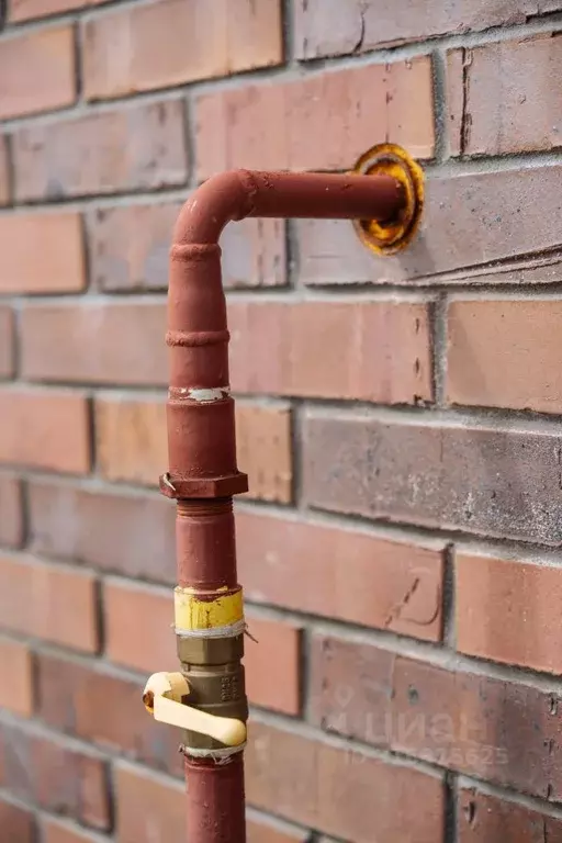 Участок в Ленинградская область, Всеволожский район, Лесколовское ... - Фото 1