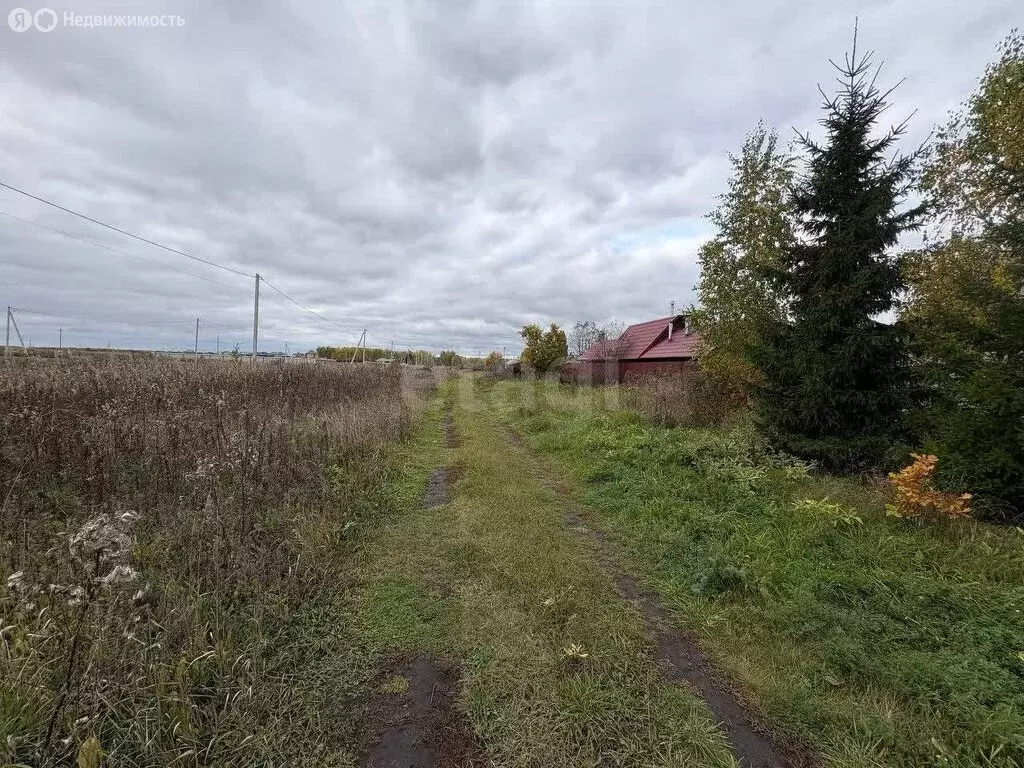 Участок в Тюменский муниципальный округ, деревня Насекина, Юбилейная ... - Фото 1